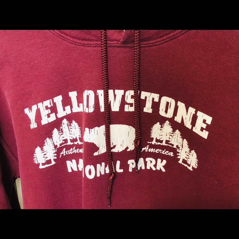 Hoodie - Picture 2 of 4